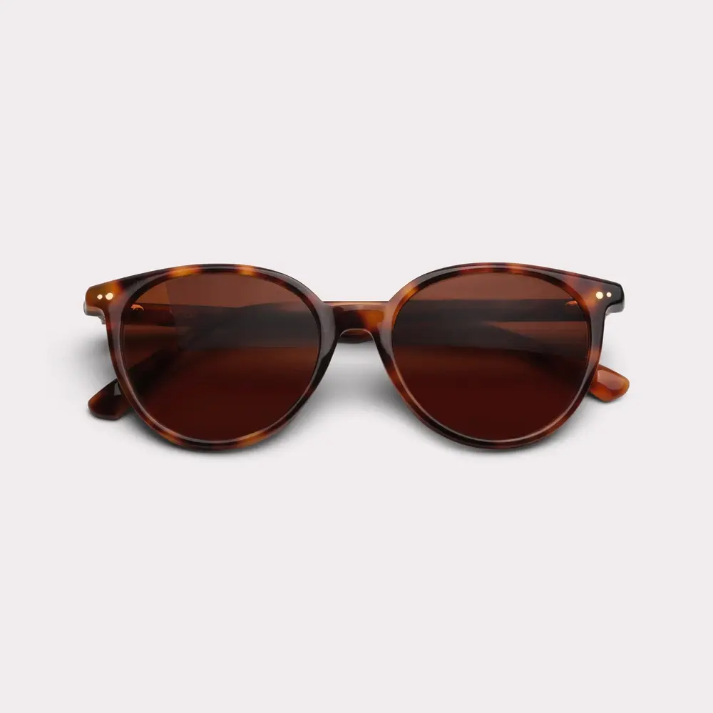 Image for SKU ACE-SUN-BERRY-TOR