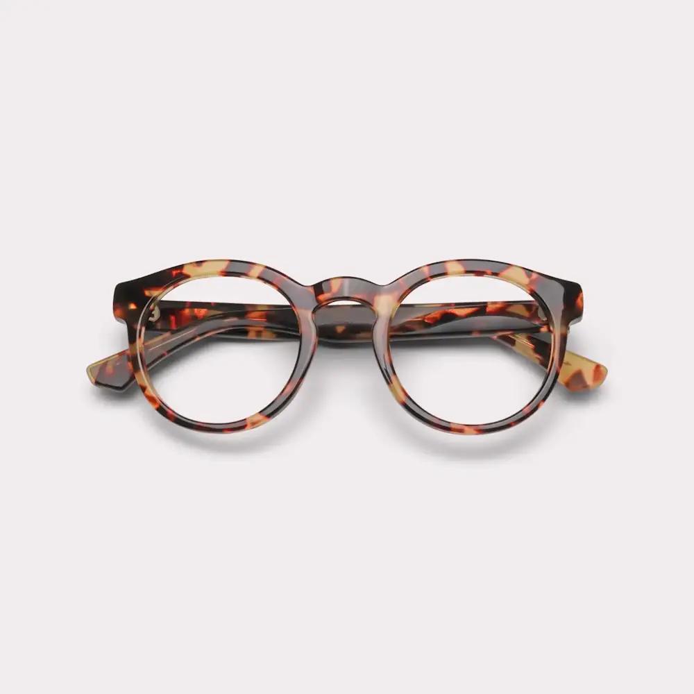 Image for SKU ACE-REA-ROBBEN-TOR-M