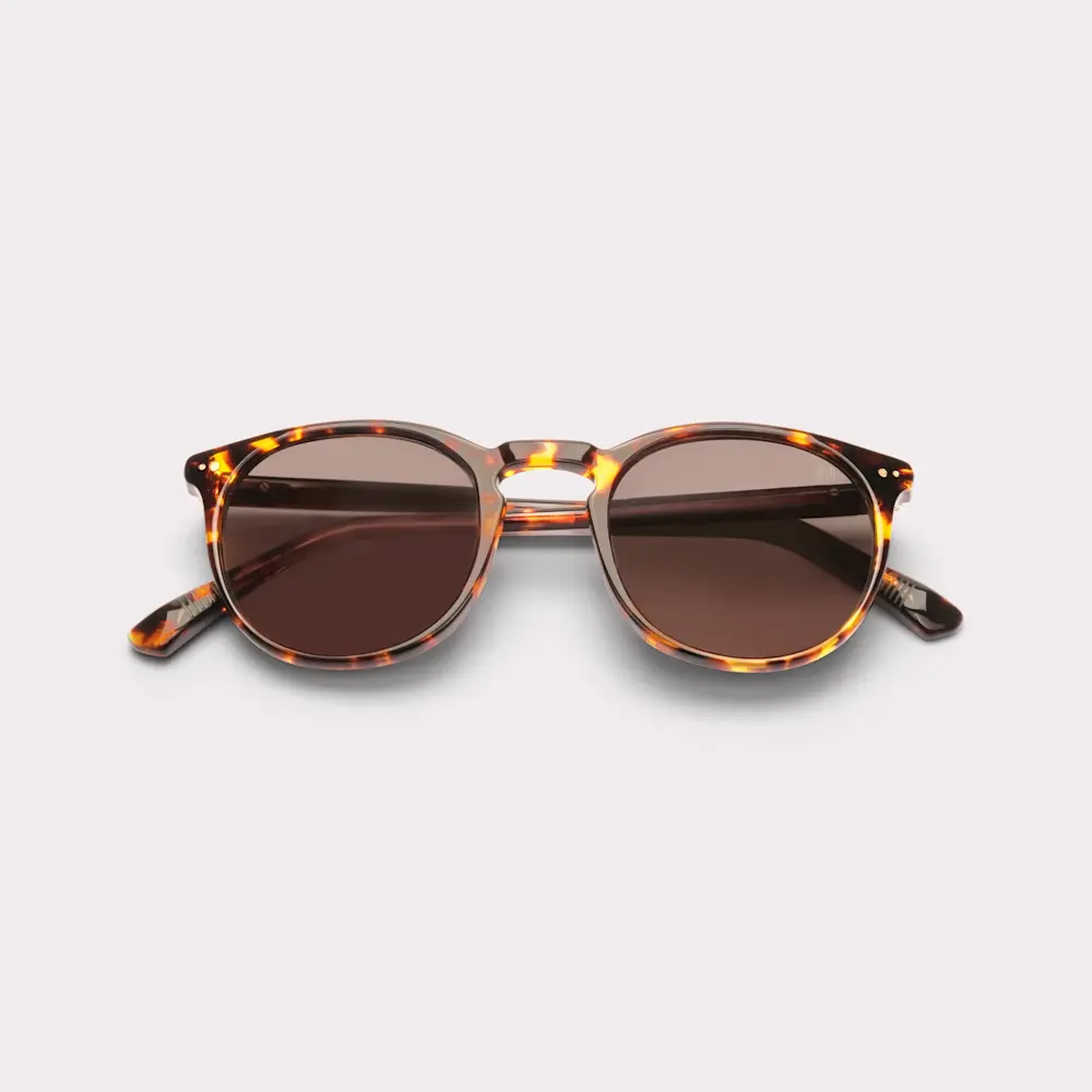 Image for SKU ACE-SUN-BASIL-LIGHTOR