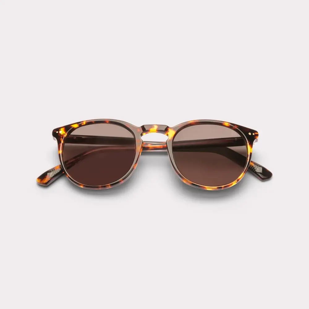 Image for SKU ACE-SUN-BASIL-LIGHTOR